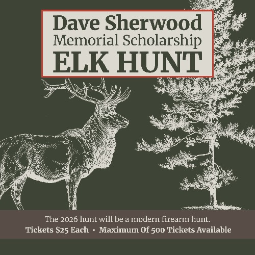 An image from the Elk Hunt Raffle poster - for decorative purposes only. No information is included.