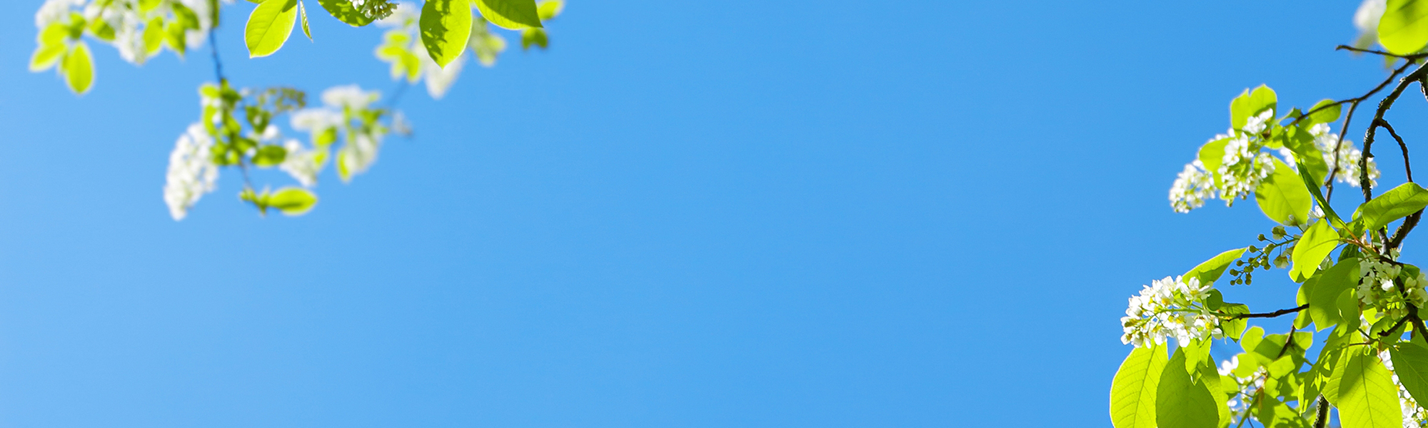 Proceed to the Next Steps