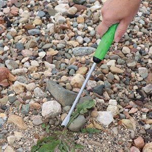 A photo of a hand weeder toold